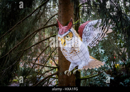 Vancouver, BC, Kanada. 25. März 2017. Eule-Laterne bei Nacht Quest Natur Laterne Event, Pacific Spirit Regional Park, Vancouver, Britisch-Kolumbien, Kanada. Bildnachweis: Michael Wheatley/Alamy Live-Nachrichten Stockfoto