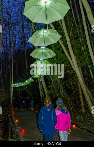 Vancouver, BC, Kanada. 25. März 2017. Obenliegende Sonnenschirm Laternen, Nacht Natur Laterne Questereignis, Pacific Spirit Regional Park, Vancouver, Britisch-Kolumbien, Kanada. Bildnachweis: Michael Wheatley/Alamy Live-Nachrichten Stockfoto