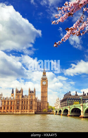 Big Ben in London im Frühjahr Stockfoto