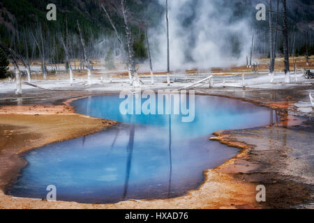 Schillernde Pool im Black Sand Becken. Yellowstone-Nationalpark, Wyoming Stockfoto