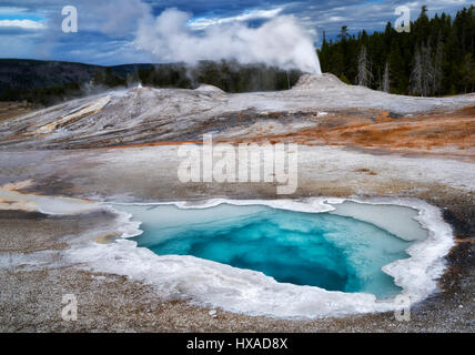 Herz-Feder mit Lion Gyser Eruping. Yellowstone-Nationalpark, Wyoming Stockfoto