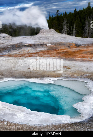 Herz-Feder mit Lion Gyser Eruping. Yellowstone-Nationalpark, Wyoming Stockfoto