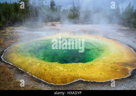 Morning Glory Pool. Yellowstone-Nationalpark, Wyoming Stockfoto