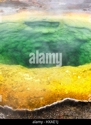 Morning Glory Pool. Yellowstone-Nationalpark, Wyoming Stockfoto