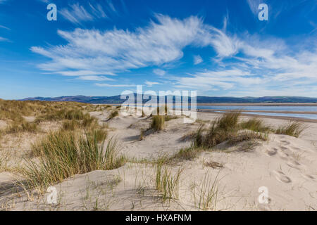 Dyfi Mündung, Aberdovey (Aberdyfi) Gwynedd, Wales Stockfoto