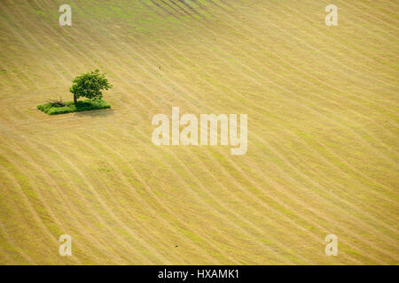 Blick von Hambledon Hill, Dorset, England Stockfoto