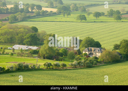 Blick von Hambledon Hill, Dorset, England Stockfoto