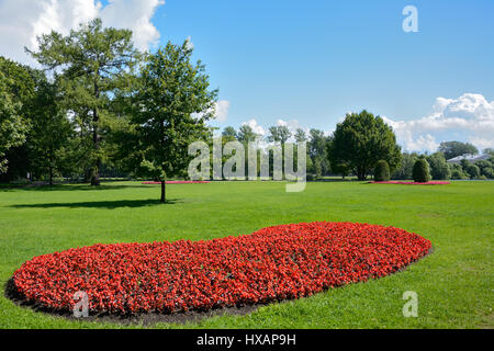 Sankt Petersburg, Curtin rote Blumen unter dem grünen Rasen im Park am Elagin Insel Stockfoto