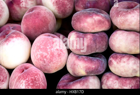 Nahaufnahme von reifen Früchten präsentiert: die Frucht von Pfirsich. Stockfoto