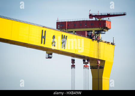 Weltweit renommierten Harland und Wolff Kran in Titanic Quarter in Belfast. Stockfoto