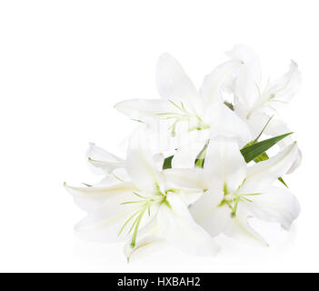 Bouquet von weißen Lilien (isoliert auf weißem Hintergrund). Stockfoto