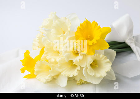 Narzisse Blumen Blumenstrauß verpackt in weißem Textil Stockfoto