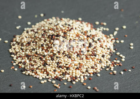 Bio Quinoa Chenopodium Quinoa Getreide nahrhaftes Essen Getreide aus Ecuador Stockfoto