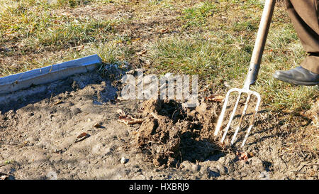 Graben Frühling Erde Boden im Garten mit Heugabel Stockfoto