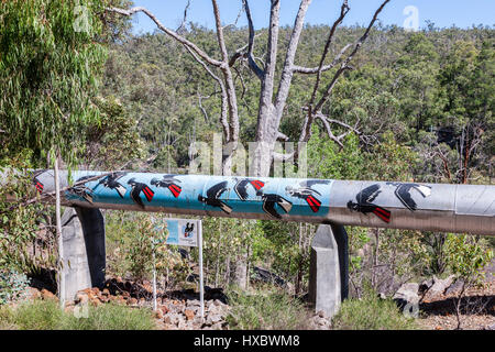 Die Goldfields Wasserversorgung-Schema ist ein Pipeline und Staudamm Projekt, die Trinkwasser aus Mundaring Weir in Perth zu Gemeinden im westlichen Au liefert Stockfoto