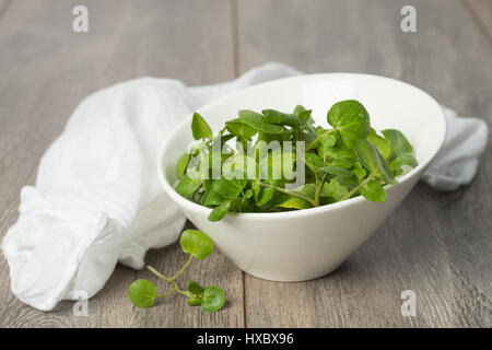 Frische Kresse in einer Schüssel mit weißer Serviette Stockfoto