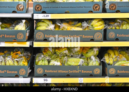 Bio & Fairtrade Rainforest Alliance Certified Bananas Logo in Plastikbeuteln & Kartonverpackung Tesco Supermarket Obstregal England UK Stockfoto