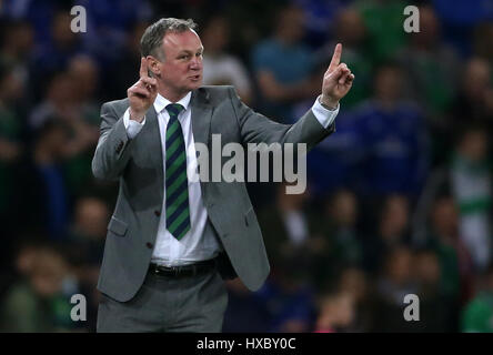 Nordirland-Manager Michael O'Neill beim WM-Qualifikationsspiel im Windsor Park, Belfast. DRÜCKEN SIE VERBANDSFOTO. Bilddatum: Sonntag, 26. März 2017. Siehe PA Story SOCCER N Ireland. Bildnachweis sollte lauten: Niall Carson/PA Wire. Stockfoto