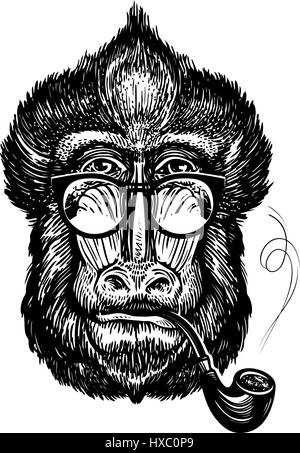 Handgezeichnete Portrait des lustigen Affen mit Brille. Intelligente Mandrill und Pfeife. Skizze-Vektor-illustration Stock Vektor