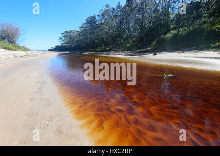 Tannin-gefärbten Bach fließt ins Meer in Abrahams Schoß Reserve, Currarong, Jervis Bay, Shoalhaven, New South Wales, NSW, Australien Stockfoto