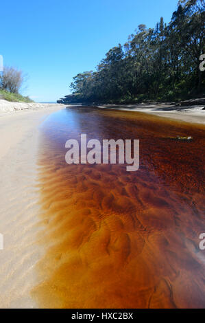 Tannin-gefärbten Bach fließt ins Meer in Abrahams Schoß Reserve, Currarong, Jervis Bay, Shoalhaven, New South Wales, NSW, Australien Stockfoto