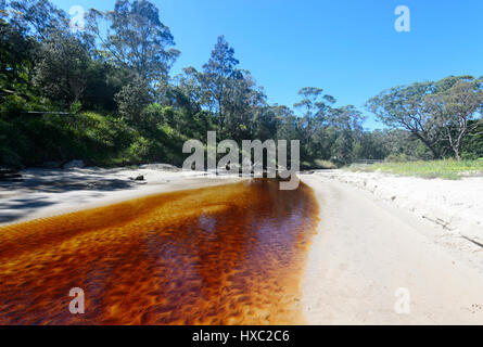 Tannin-gefärbten Bach fließt ins Meer in Abrahams Schoß Reserve, Currarong, Jervis Bay, Shoalhaven, New South Wales, NSW, Australien Stockfoto