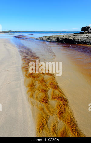 Muster in einem Tannin gebeizte Bach fließt in das Meer in Abrahams Schoß Reserve, Currarong, Jervis Bay, Shoalhaven, New-South.Wales, NSW, Australien Stockfoto