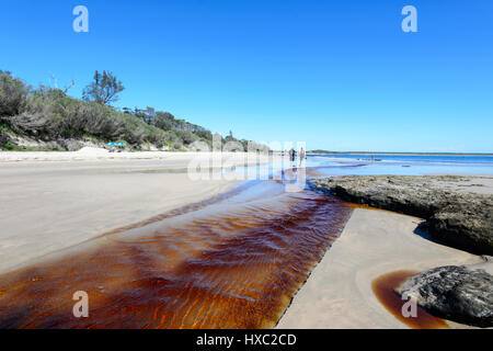 Tannin-gefärbten Bach fließt ins Meer in Abrahams Schoß Reserve, Currarong, Jervis Bay, Shoalhaven, New South Wales, NSW, Australien Stockfoto