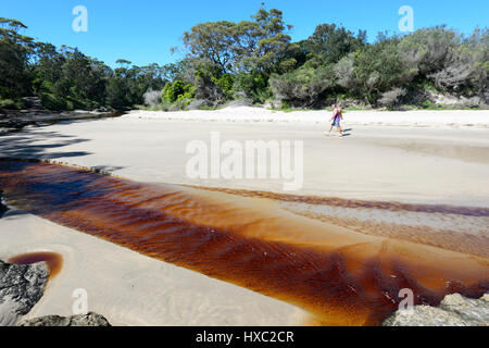 Paare, die entlang eines fließenden Baches Tannin gebeizte, Abrahams Schoß Reserve, Currarong, Jervis Bay, Shoalhaven, New-South.Wales, NSW, Australien Stockfoto