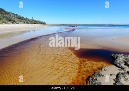 Tannin-gefärbten Bach fließt ins Meer in Abrahams Schoß Reserve, Currarong, Jervis Bay, Shoalhaven, New South Wales, NSW, Australien Stockfoto