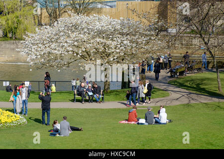 Besucher zu Bath Parade Gardens sind abgebildet, unter Ausnutzung von gutem Wetter und warmen Frühlingssonne in Bath, England, UK Stockfoto