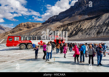 Columbia Icefield Athabasca-Gletscher, Jasper Nationalpark, Kanada. Stockfoto