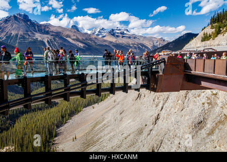 Der Gletscher Skywalk, Jasper Nationalpark, Alberta, Kanada. Stockfoto