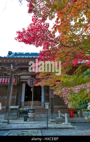 Kyoto, Japan - November 2016: Sekizan Zen, japanische Tempel in Kyoto im Herbst Stockfoto