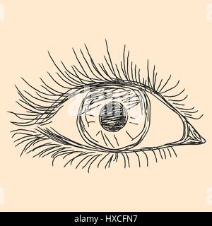 Menschliches Auge, Hand gezeichnete Vektor Skizze auf dem beigen Hintergrund Stock Vektor