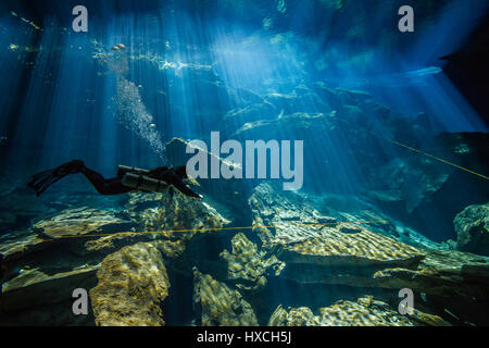 Ein technischer Taucher untersucht die unglaubliche, riesige Höhle eine unterirdische Cenote in der mexikanischen Halbinsel Yucatan Stockfoto