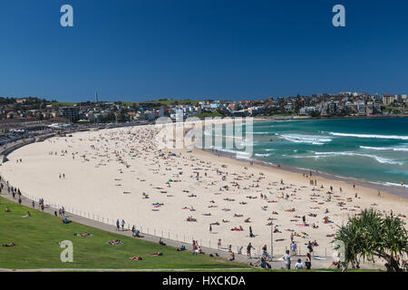 Allgemeiner Blick auf Bondi Beach aus dem Grasgebiet, bekannt als Bondi Park, Sydney, NSW, Australien. Eine beliebte Gegend für Picknicks, entspannende und aussichtsreiche Ausblicke Stockfoto