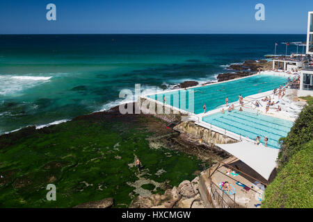 Ein wunderschöner Herbsttag am Bondi Icebergs, Bondi Beach, Sydney, Australien. Stockfoto