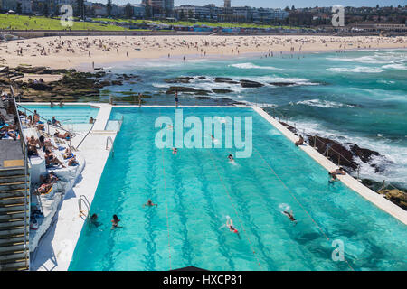 Ein wunderschöner Herbsttag am Bondi Icebergs, Bondi Beach, Sydney, Australien. Stockfoto