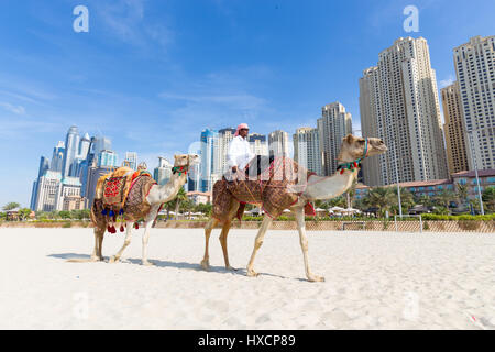 Mann mit Kamelritt am Strand von Jumeirah, Dubai, Vereinigte Arabische Emirate. Stockfoto