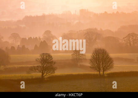 Goldener Morgen Sonnenaufgang über eine walisische Landschaft im ländlichen Raum im Frühsommer in der Nähe des Dorfes Rhosesmor, Flintshire Stockfoto