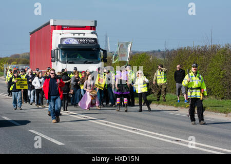 Blackpool, UK. 27. März 2017. Glücklich Montag Sterne Bez (Mark Berry) Anti-Fracking Demonstranten an der Cuadrilla unterstützt explorative Shalegas Fracking Website wo Demonstranten blockieren das Tor langsam "Globetrotter" LKW ging, wie es die Website verlassen. Sie langsam ging soweit Plumpton Hall Farm, deren Land die Website, erstellt wird, bevor Polizei gelang es, sie von der Straße zu bewegen. Bildnachweis: Dave Ellison/Alamy Live-Nachrichten Stockfoto