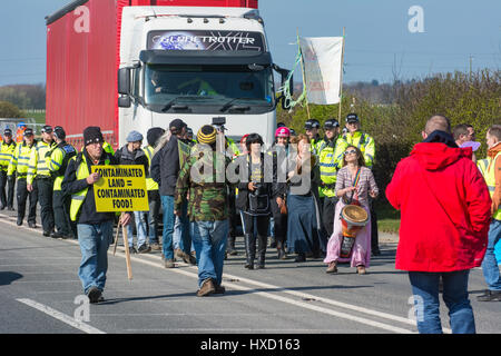 Blackpool, UK. 27. März 2017. Glücklich Montag Sterne Bez (Mark Berry) Anti-Fracking Demonstranten an der Cuadrilla unterstützt explorative Shalegas Fracking Website wo Demonstranten blockieren das Tor langsam "Globetrotter" LKW ging, wie es die Website verlassen. Sie langsam ging soweit Plumpton Hall Farm, deren Land die Website, erstellt wird, bevor Polizei gelang es, sie von der Straße zu bewegen. Bildnachweis: Dave Ellison/Alamy Live-Nachrichten Stockfoto