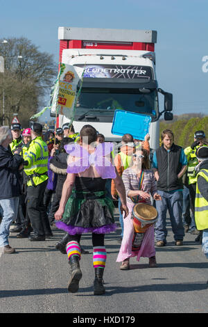 Blackpool, UK. 27. März 2017. Glücklich Montag Sterne Bez (Mark Berry) Anti-Fracking Demonstranten an der Cuadrilla unterstützt explorative Shalegas Fracking Website wo Demonstranten blockieren das Tor langsam "Globetrotter" LKW ging, wie es die Website verlassen. Sie langsam ging soweit Plumpton Hall Farm, deren Land die Website, erstellt wird, bevor Polizei gelang es, sie von der Straße zu bewegen. Bildnachweis: Dave Ellison/Alamy Live-Nachrichten Stockfoto