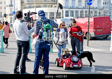 Brighton, UK. 27. März 2017. Loki der Hund fährt mit seinem Auto an Brighton Strandpromenade heute Nachmittag an einem schönen sonnigen Tag im Vereinigten Königreich. Loki wurde gefilmt, für ein ITV zeigen später in diesem Sommer Credit Sendetermin: Simon Dack/Alamy Live News Stockfoto