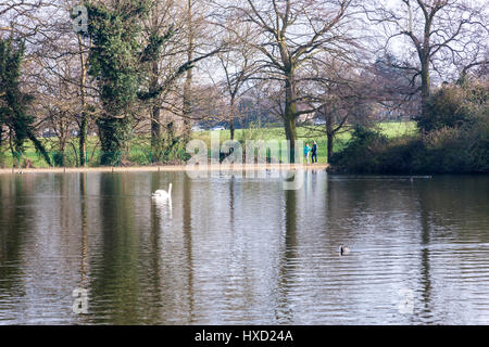 Abington Park, Northampton, UK. 27. März 2017. Großbritannien Wetter. Nach einem kalten grauen bewölkten Morgen schien die Sonne am späten Nachmittag, waren Menschen bald in den Park, genießen die warme Sonnenstrahlen neben der Wasservögel. Bildnachweis: Keith J Smith. / Alamy Live News Stockfoto