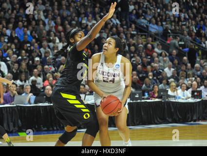 Bridgeport, CT, USA. 27. März 2017. Napheesa Collier (24) der Uconn Huskies sieht während der NCAA Regional Finals gegen die Oregon Ducks auf die Webster Bank Arena in Bridgeport, CT. Gregory Vasil/CSM/Alamy Live News zu schießen Stockfoto