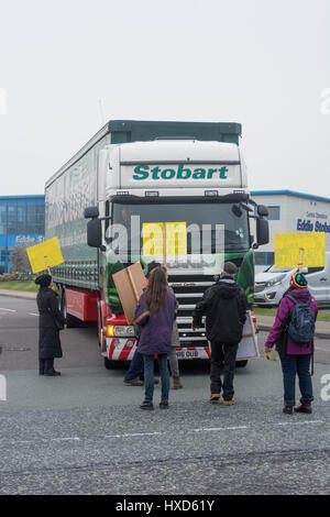 Appleton Thorn, Warrington, UK. 28. März 2017. Umweltaktivisten, besorgt über die Schäden Fracking könnte um die Erde, Luft und Wasser-Versorgung, gezielte LKW-Riesen Eddie Stobarts Hauptsitz heute morgen tun. Stobart-LKW wurden für die umstrittene explorative Shale Gas Fracking Website derzeit im Bau in der Nähe von Blackpool gedenke unkonventionelle Gewinnung Gasgesellschaft Cuadrilla Fracking nach Schiefergas beobachtet. Die Demonstranten erklärte, dass Stobarts verfügt über einen positiven Beitrag zur Gesellschaft und Umwelt. Bildnachweis: Dave Ellison/Alamy Live-Nachrichten Stockfoto