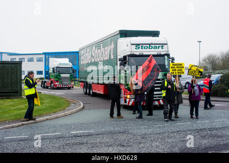 Appleton Thorn, Warrington, UK. 28. März 2017. Umweltaktivisten, besorgt über die Schäden Fracking könnte um die Erde, Luft und Wasser-Versorgung, gezielte LKW-Riesen Eddie Stobarts Hauptsitz heute morgen tun. Stobart-LKW wurden für die umstrittene explorative Shale Gas Fracking Website derzeit im Bau in der Nähe von Blackpool gedenke unkonventionelle Gewinnung Gasgesellschaft Cuadrilla Fracking nach Schiefergas beobachtet. Die Demonstranten erklärte, dass Stobarts verfügt über einen positiven Beitrag zur Gesellschaft und Umwelt. Bildnachweis: Dave Ellison/Alamy Live-Nachrichten Stockfoto