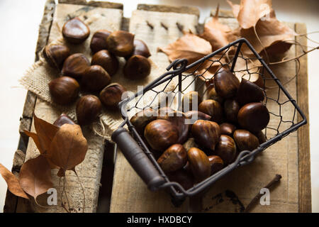 Frische Kastanien in Metallkorb, trockene Herbstblätter auf neu gewonnenem Plank Holz, gemütliche Atmosphäre Stockfoto